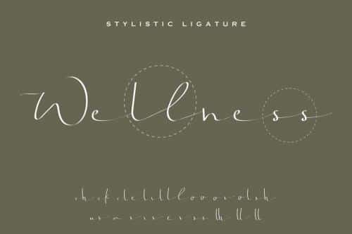 Jonatan Eve Script Font 7