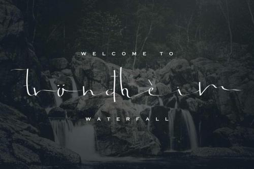 Jonatan Eve Script Font 8