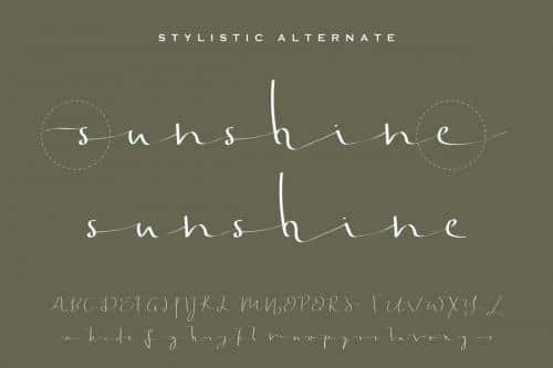 Jonatan Eve Script Font 9