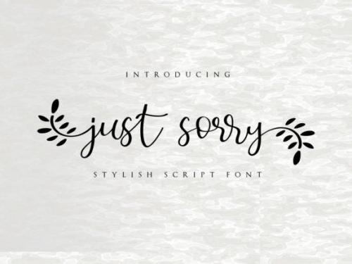 Just Sorry Calligraphy Script Font (1)