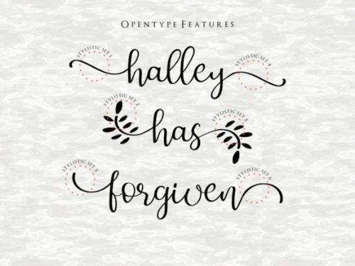 Just Sorry Calligraphy Script Font 7 (1)