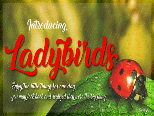 Ladybirds-Font-Free-Download--0