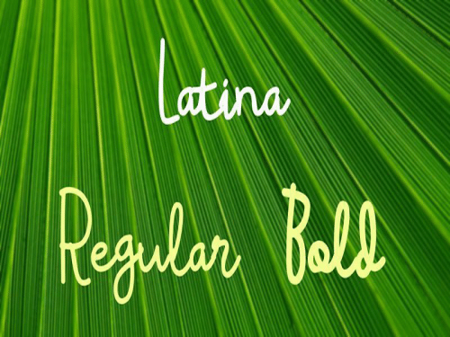 Latina-Font-Family--0