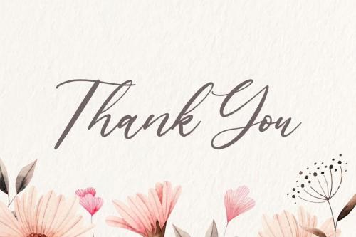 Lavineta Elegant Calligraphy Font 6