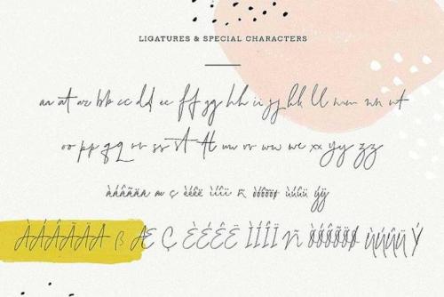 Lemon Splash Font  3