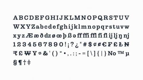 Libre Clarendon Slab Serif Font Family 3