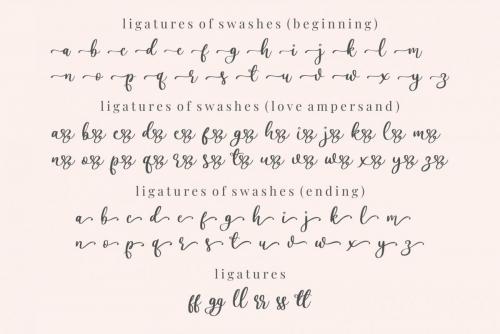Lovely Ampersand Calligraphy Font  11