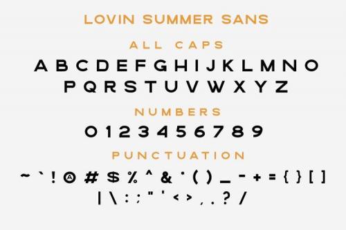 Lovin Summer Script Font 8