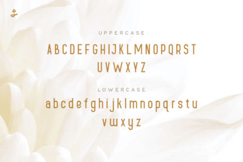 Lueue Sans Serif Font 4