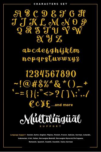 Magle Coffee Branding Script Font 12