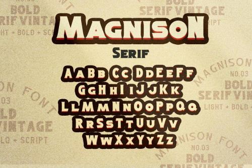 Magnison Script Font  24