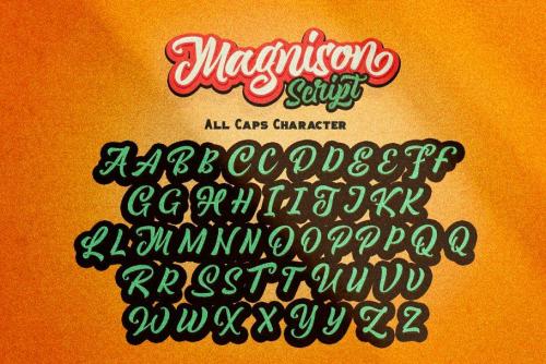 Magnison Script Font  25