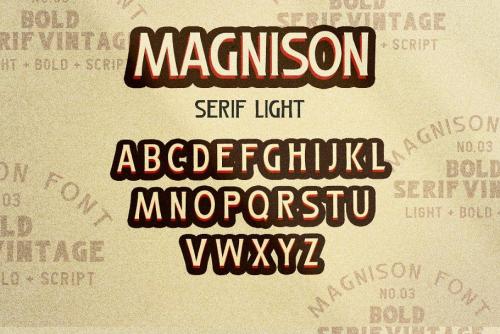 Magnison Script Font  26