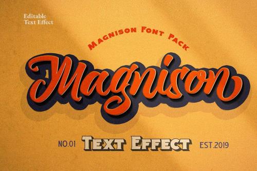 Magnison Script Font  29
