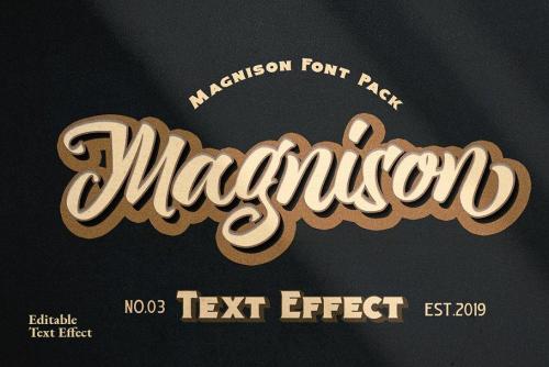 Magnison Script Font  31
