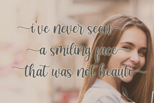 Marcella Calligraphy Script Font  2