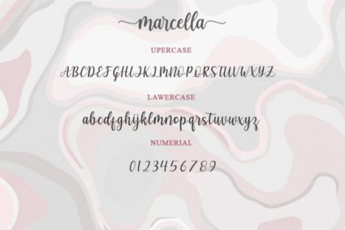 Marcella Calligraphy Script Font  7