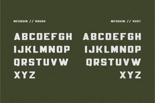 Mesquin Typeface 7