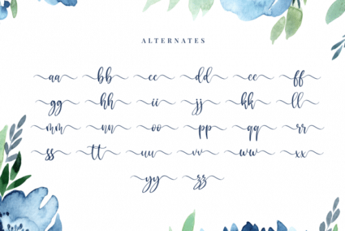 Metropolis Calligraphy Script Font 6