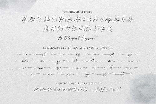 Modernline Signature Handwritten Font  12