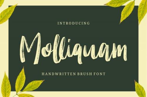 Molliquam Brush Font 1