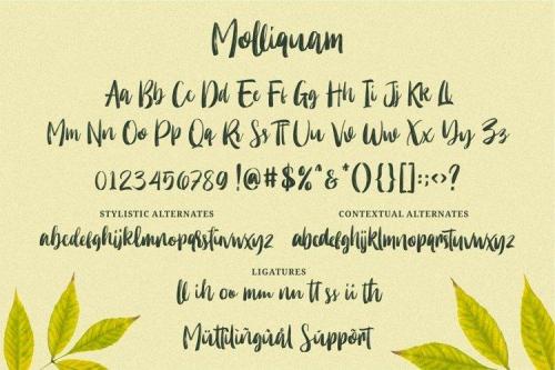 Molliquam Brush Font 6
