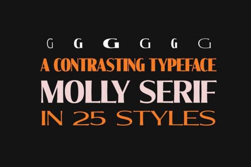 Molly Serif Font Family 4