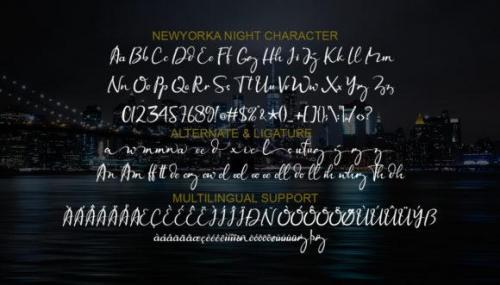 Newyorka Night Script Font 13