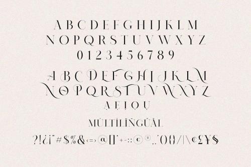Nomark Serif Ligature Typeface  13