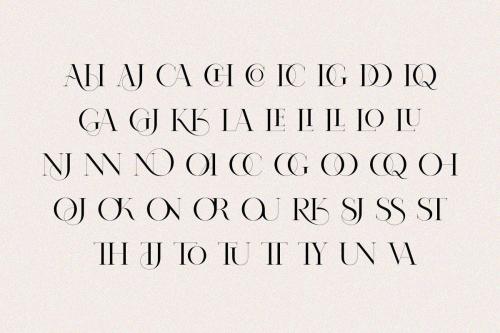 Nomark Serif Ligature Typeface  14