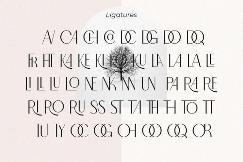 North Carossela Ligature Sans Typeface 11
