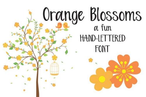 Orange Blossoms Font 1
