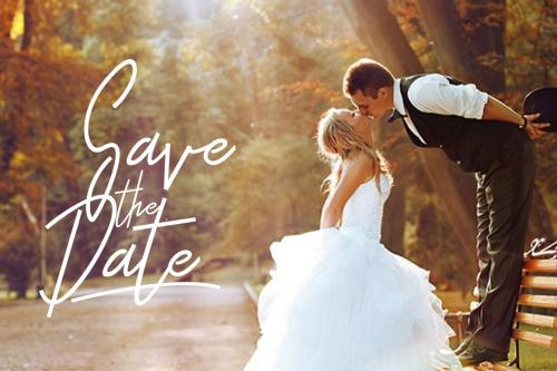 Otella Signature Font Free 4