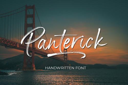 Panterick Brush Font 1
