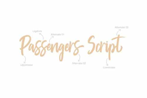 Passengers Script Font 4