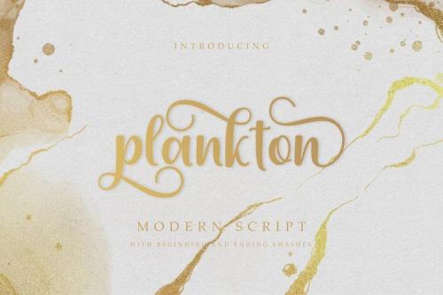 Plankton Calligraphy Script Font