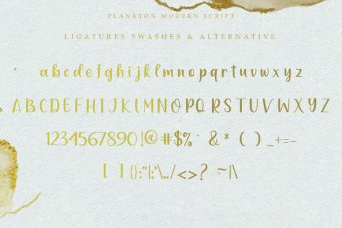 Plankton Calligraphy Script Font 3
