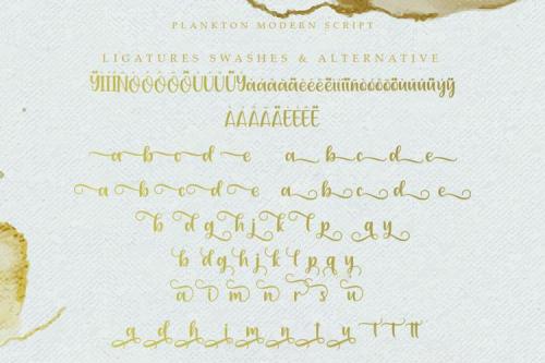 Plankton Calligraphy Script Font 6
