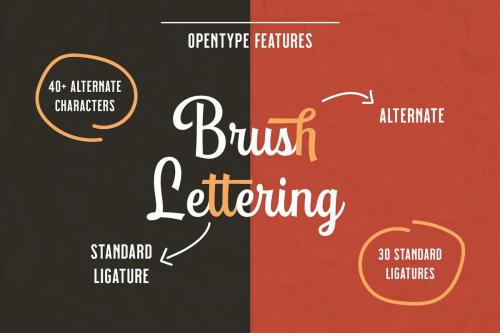 Playtoon Script Font  1