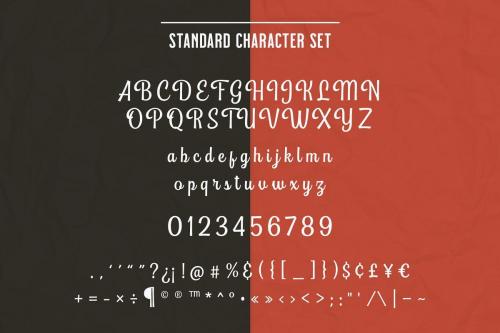 Playtoon Script Font  5