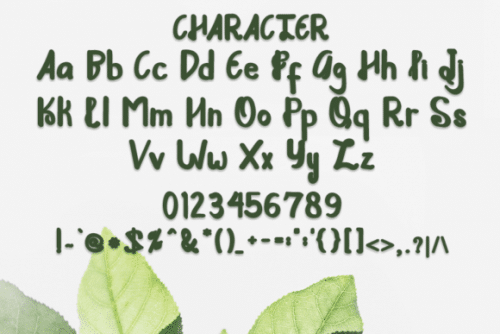 Pords Queens Script Font 5