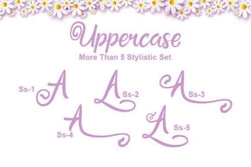 Pretty Honey Calligraphy Font 6