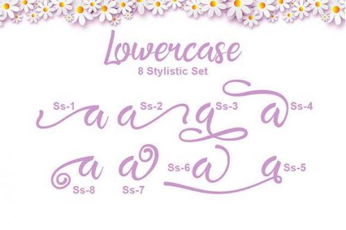 Pretty Honey Calligraphy Font 7