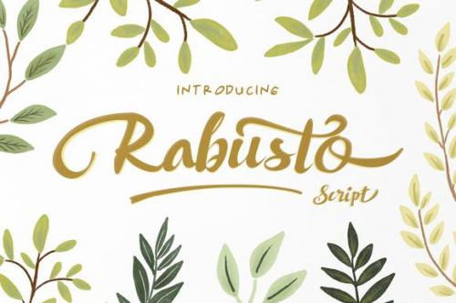 Rabusto Script Font Free