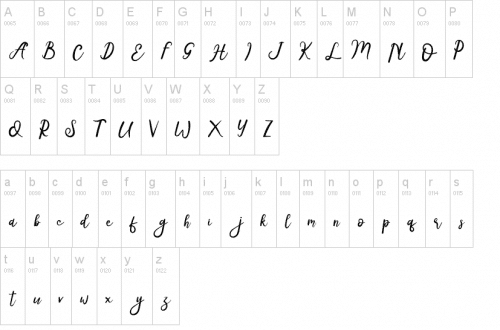 Radiga Script Font 2