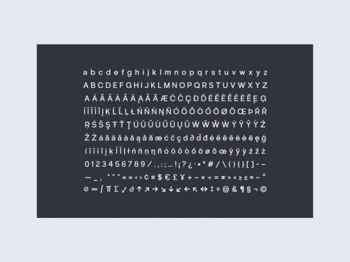 Radio Grotesk Font Family 1