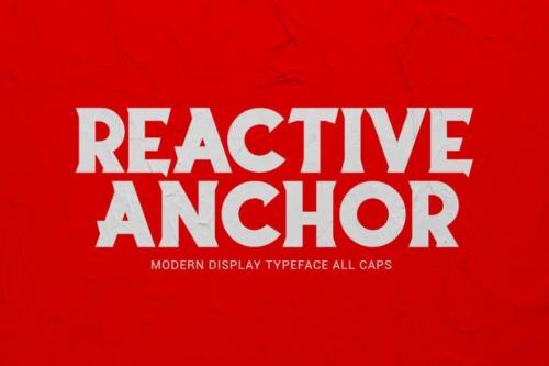 Reactive Anchor Serif Display Typeface 1