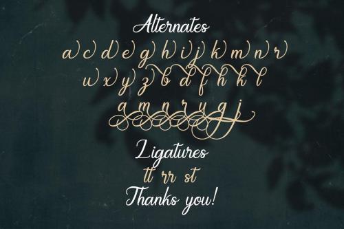 Regalhisa Calligraphy Script Font 14