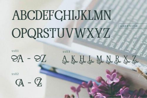 Renda Bold Modern Serif Font  2