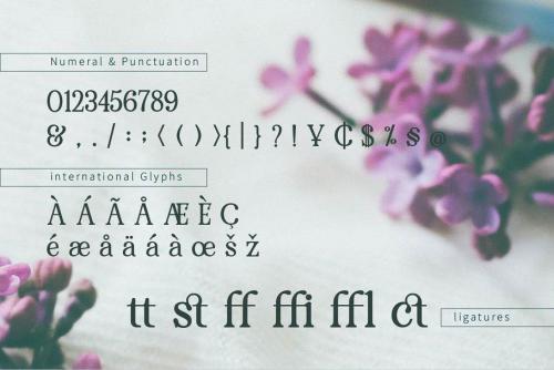 Renda Bold Modern Serif Font  4